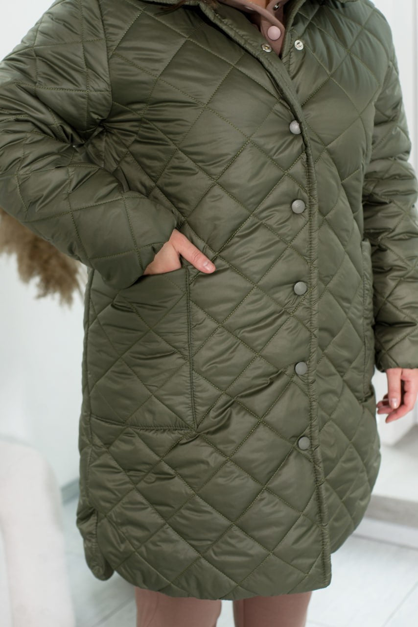 Jackets Casual Plashchivka Lake Synthepon-Silicon Insulation Button Placket Plus Size