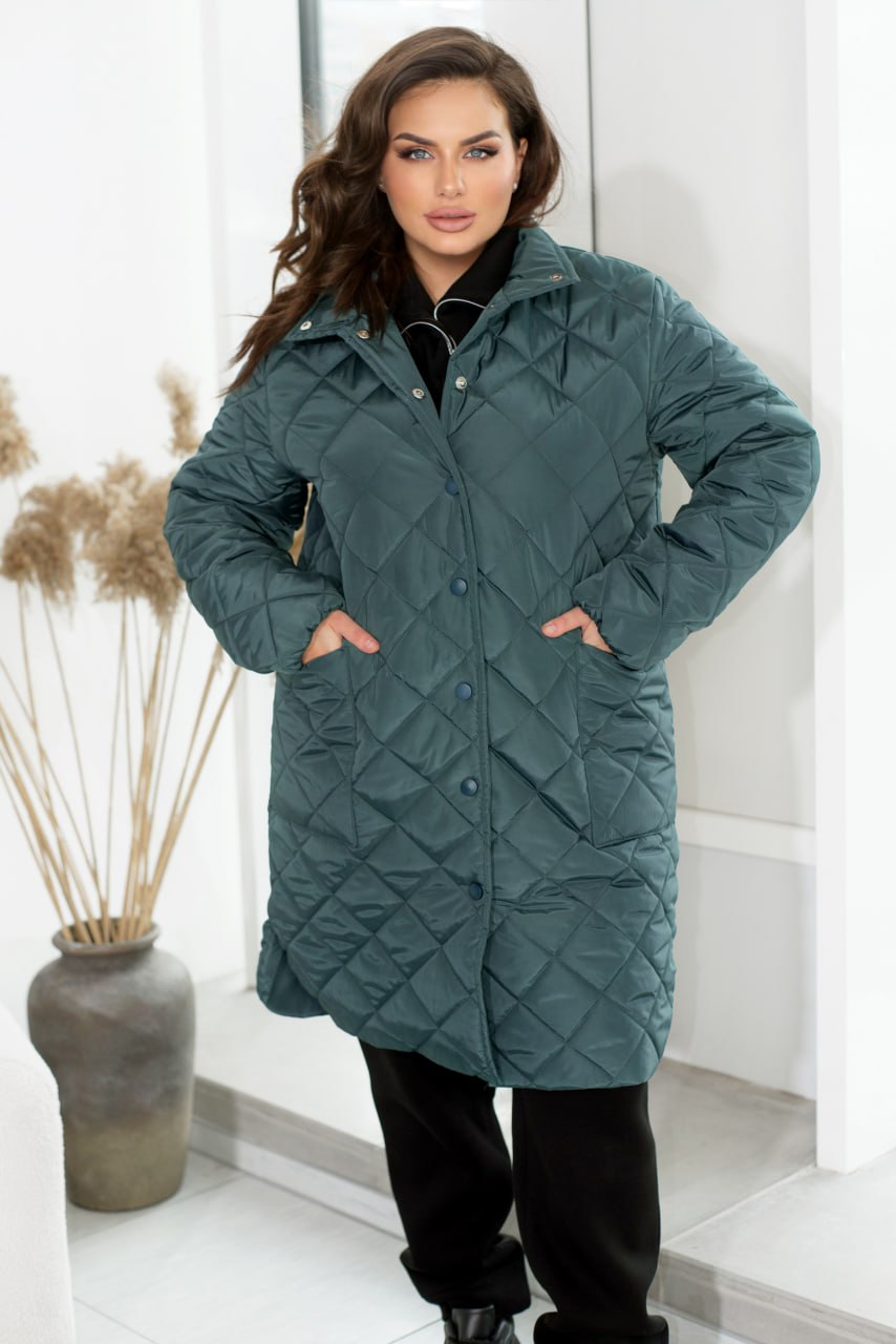 Jackets Casual Plashchivka Lake Synthepon-Silicon Insulation Button Placket Plus Size