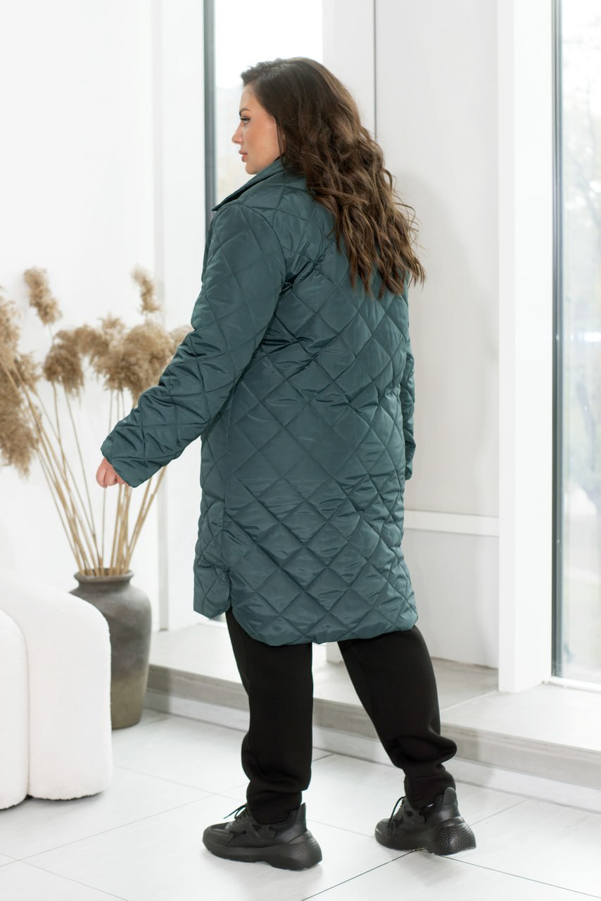 Jackets Casual Plashchivka Lake Synthepon-Silicon Insulation Button Placket Plus Size