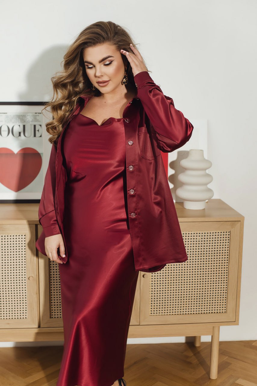 Silk Oversized Shirt Button Down Collar Long Sleeve Plus Size