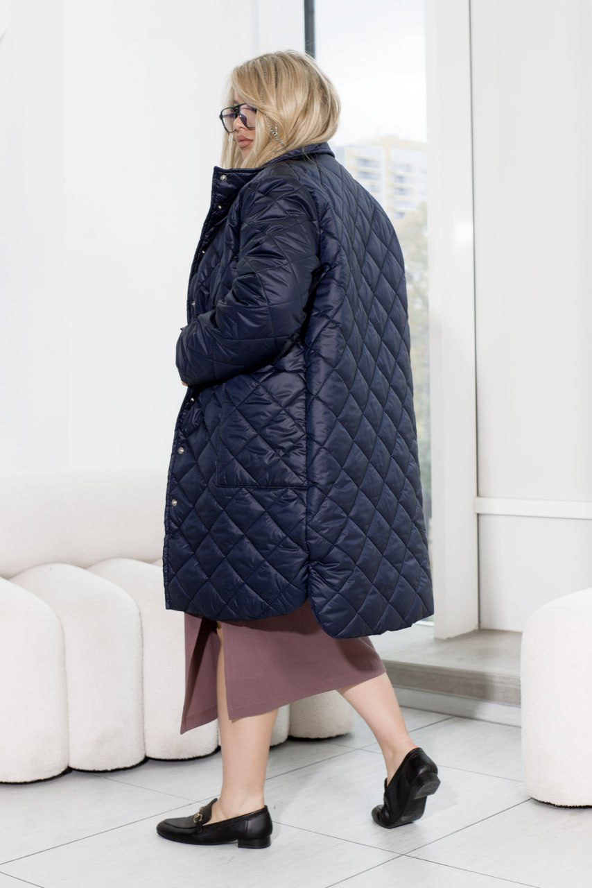 Jackets Casual Plashchivka Lake Synthepon-Silicon Insulation Button Placket Plus Size